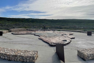 Città del Capo: Tour dei pinguini di Cape Agulhas e Stony Point