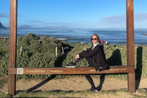 Città del Capo: Tour dei pinguini di Cape Agulhas e Stony Point
