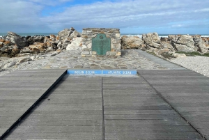 Città del Capo: Tour dei pinguini di Cape Agulhas e Stony Point