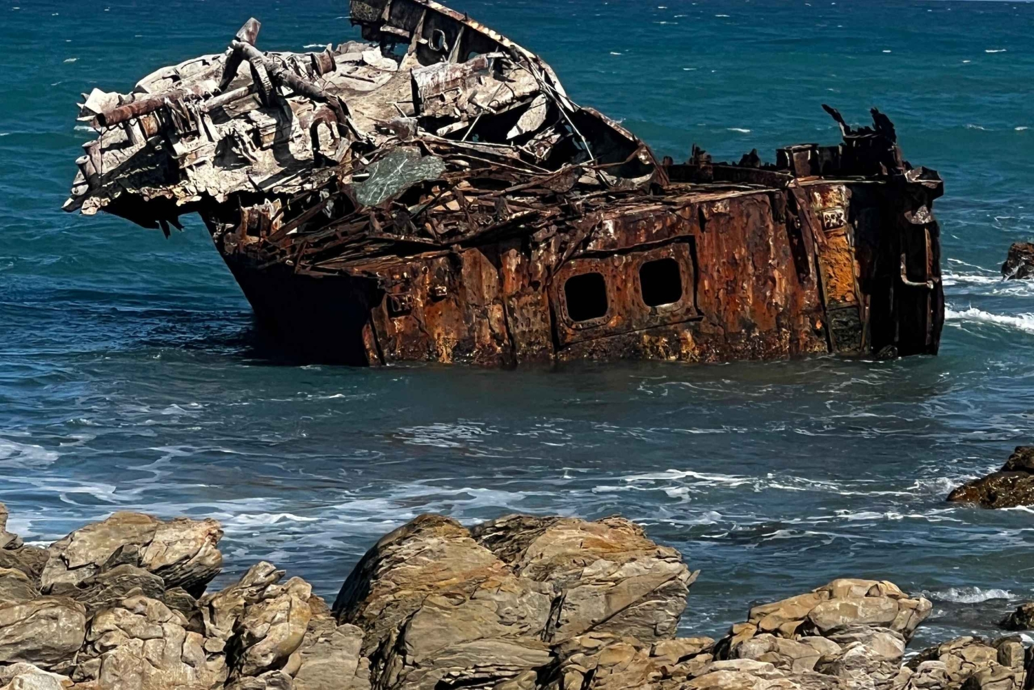 Kapsztad: wycieczka całodniowa do Przylądka Agulhas z obserwacją wielorybów