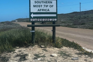 Kapsztad: wycieczka całodniowa do Przylądka Agulhas z obserwacją wielorybów