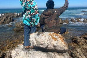 Kapsztad: wycieczka całodniowa do Przylądka Agulhas z obserwacją wielorybów