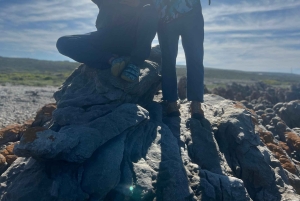 Kapsztad: wycieczka całodniowa do Przylądka Agulhas z obserwacją wielorybów