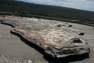 Kapsztad: wycieczka całodniowa do Przylądka Agulhas z obserwacją wielorybów