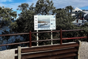 Kapsztad: wycieczka całodniowa do Przylądka Agulhas z obserwacją wielorybów