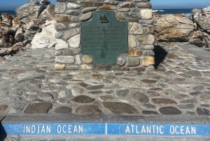 Kapsztad: wycieczka całodniowa do Przylądka Agulhas z obserwacją wielorybów