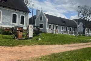 Kapsztad: wycieczka całodniowa do Przylądka Agulhas z obserwacją wielorybów