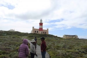 Cape Town: Cape Agulhas Private Tour