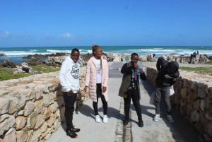 Cape Town: Cape Agulhas Private Tour