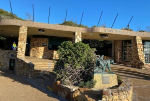 Cape Town: Cape of Good Hope and Boulders Beach Day Tour