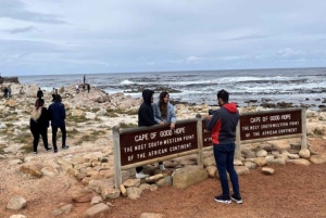 Città del Capo: Tour privato del Capo di Buona Speranza e della spiaggia di Boulders
