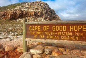 Città del Capo: Tour privato del Capo di Buona Speranza e della spiaggia di Boulders
