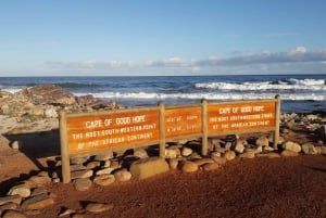 Kapstadt: Private Cape of Good Hope Cape Point Morning Tour