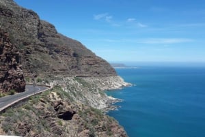Cape Town: Private Cape of Good Hope Cape Point Morning Tour