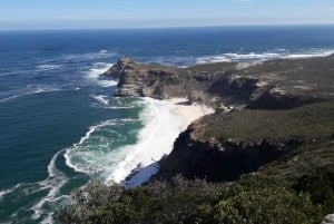 Le Cap : visite privée du Cap de Bonne Espérance Cape Point Morning Tour