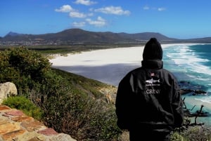 Ciudad del Cabo: Tour Matinal Privado del Cabo de Buena Esperanza Cape Point