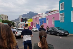 Ciudad del Cabo: Tour de un día por el Cabo de Buena Esperanza y los Pingüinos