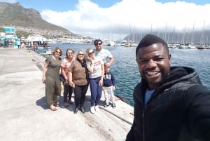 Kapstaden: Godahoppsudden och pingvinerna - heldagstur