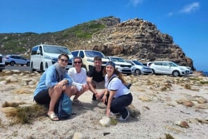 Кейптаун: экскурсия на целый день по мысу Доброй Надежды и пингвинам