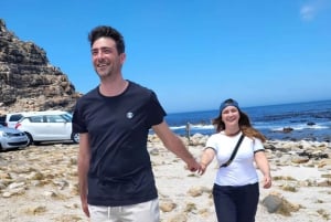 Città del Capo: Tour di un giorno intero del Capo di Buona Speranza e dei Pinguini