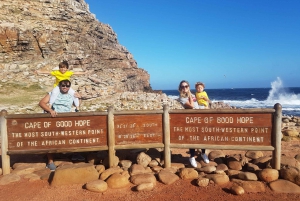 Città del Capo: tour di un giorno del Capo di Buona Speranza e dei pinguini