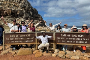 Cape Town: Cape of Good Hope and Penguins Full-Day Tour