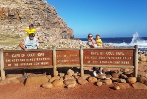 Cape Town: Cape of Good Hope and Penguins Full-Day Tour