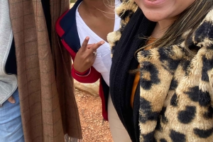 Cape Town: Cape of Good Hope and Penguins Full-Day Tour