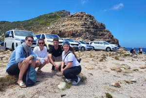 Cape Town: Cape of Good Hope and Penguins Full-Day Tour
