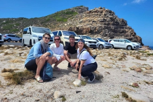 Cape Town: Cape of Good Hope and Penguins Full-Day Tour
