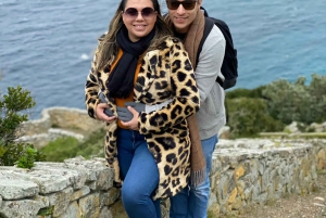 Cape Town: Cape of Good Hope and Penguins Full-Day Tour