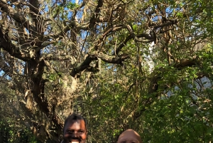 Cape Town: Cape of Good Hope and Penguins Full-Day Tour