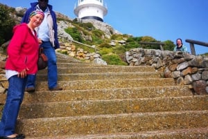Кейптаун: CAPE OF GOOD HOPE AND PENGUINS PRIVATE FULL DAY.