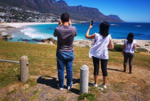 Кейптаун: CAPE OF GOOD HOPE AND PENGUINS PRIVATE FULL DAY.