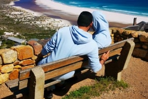 Кейптаун: CAPE OF GOOD HOPE AND PENGUINS PRIVATE FULL DAY.