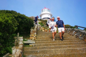 Кейптаун: CAPE OF GOOD HOPE AND PENGUINS PRIVATE FULL DAY.