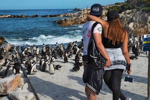 Kaapstad: CAPE VAN GOEDE HOOP EN PENGUINS PRIVÉ VOLLE DAG.