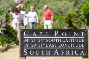 Kaapstad: CAPE VAN GOEDE HOOP EN PENGUINS PRIVÉ VOLLE DAG.