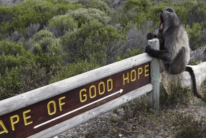 Kaapstad: CAPE VAN GOEDE HOOP EN PENGUINS PRIVÉ VOLLE DAG.
