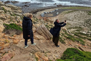 Kaapstad: CAPE VAN GOEDE HOOP EN PENGUINS PRIVÉ VOLLE DAG.