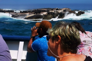 Kaapstad: CAPE VAN GOEDE HOOP EN PENGUINS PRIVÉ VOLLE DAG.