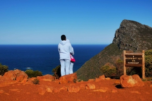 Kaapstad: CAPE VAN GOEDE HOOP EN PENGUINS PRIVÉ VOLLE DAG.