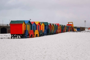 Kaapstad: CAPE VAN GOEDE HOOP EN PENGUINS PRIVÉ VOLLE DAG.