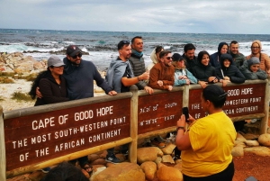 Kaapstad: CAPE VAN GOEDE HOOP EN PENGUINS PRIVÉ VOLLE DAG.