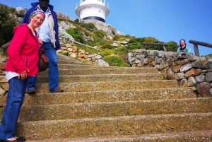 Kaapstad: CAPE VAN GOEDE HOOP EN PENGUINS PRIVÉ VOLLE DAG.