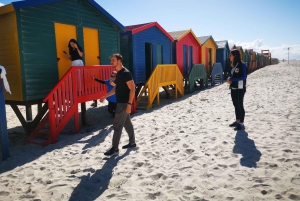 Kaapstad: CAPE VAN GOEDE HOOP EN PENGUINS PRIVÉ VOLLE DAG.