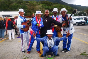 Kaapstad: CAPE VAN GOEDE HOOP EN PENGUINS PRIVÉ VOLLE DAG.