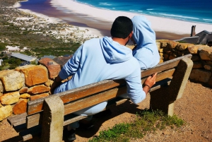 Kaapstad: CAPE VAN GOEDE HOOP EN PENGUINS PRIVÉ VOLLE DAG.