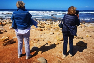 Kaapstad: CAPE VAN GOEDE HOOP EN PENGUINS PRIVÉ VOLLE DAG.