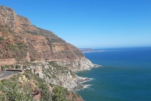 Cape Town: Cape of Good Hope, Penguins and Sightseeing Tour